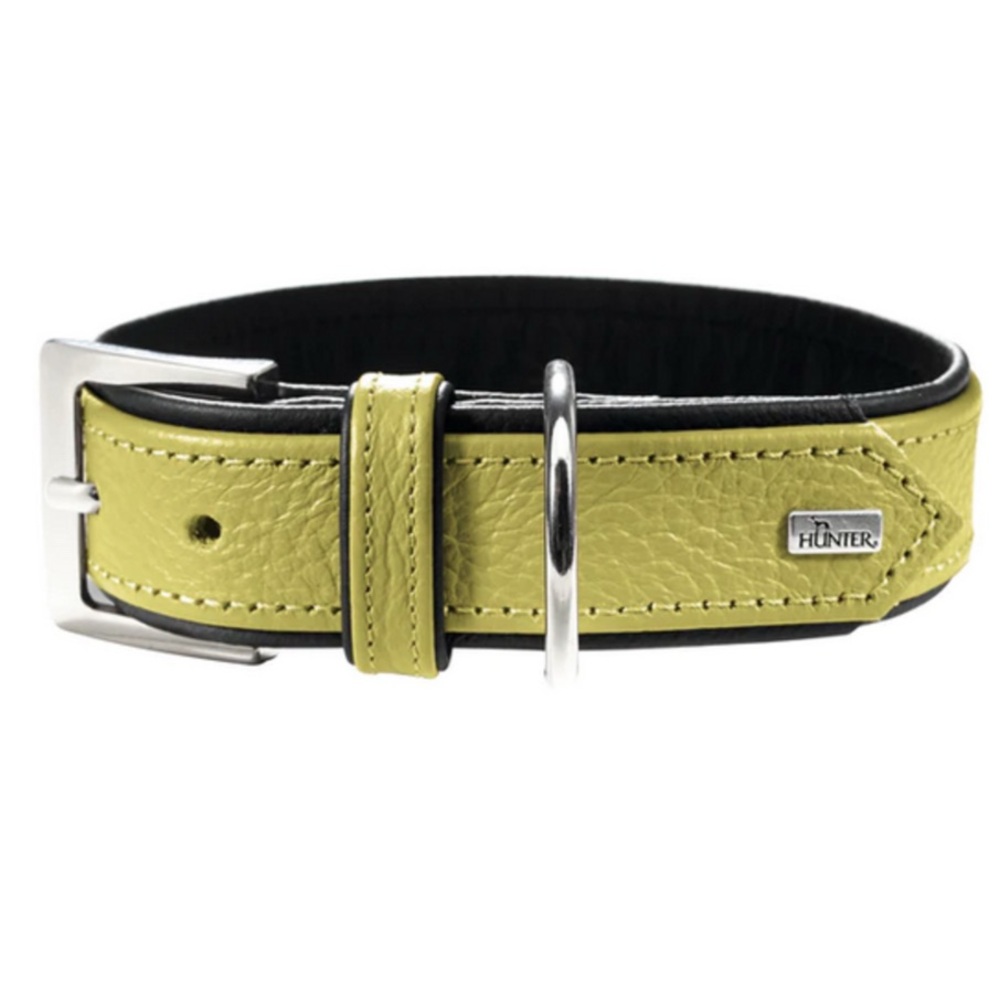 Hunter Lime Green Leather Dog Collar with Silver Buckle